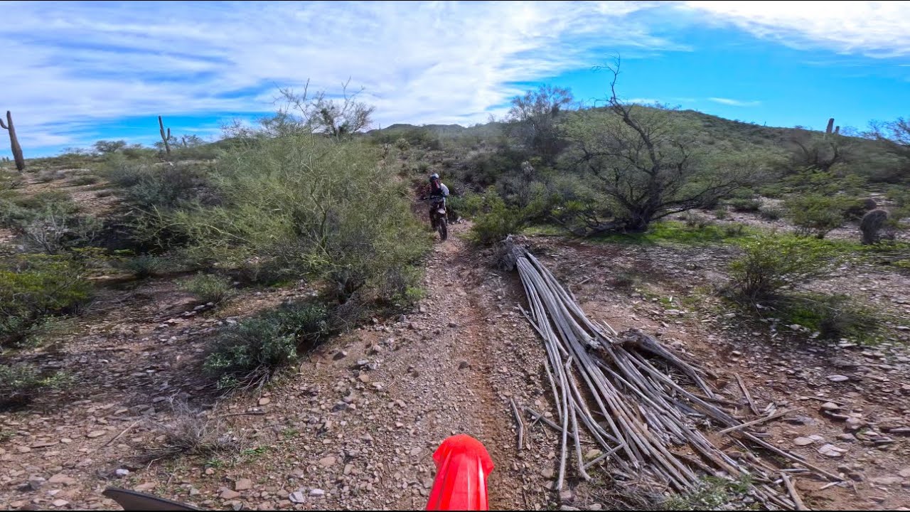 The Desert Took a Bath and the Big Dogs Barked. Super Fun, Fast, Flowing Single Track. 