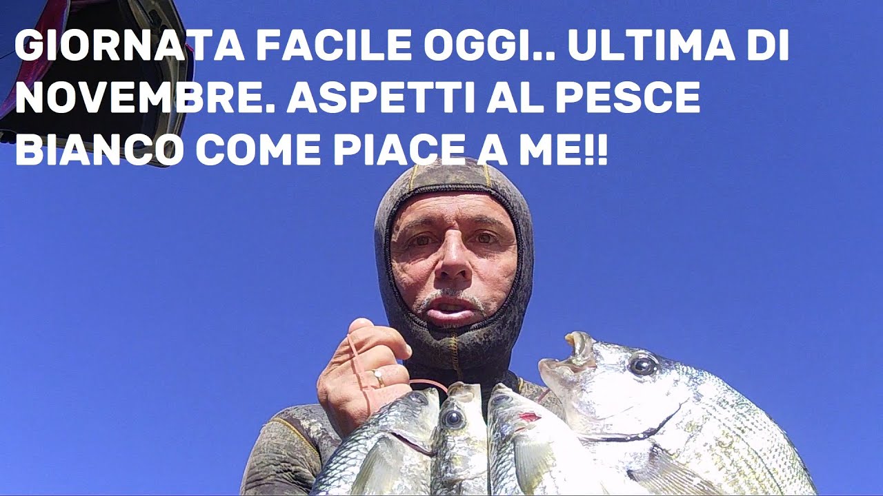 VIDEO PESCASUB: LA MIA TECNICA PREFERITA. NON C è SCAMPO !NEL MAX DELLA SPORTIVITà.#spearfishing