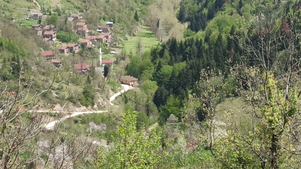 ÇAYDÜZÜ KÖYÜ