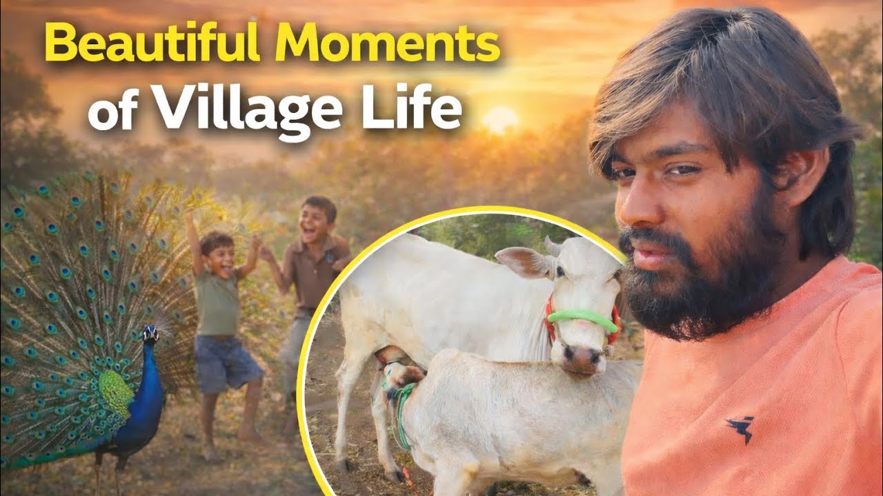 ನಮ್ಮ ಹಳ್ಳಿ ಜೀವನ🌾|family time & farmer life vlog🌅 