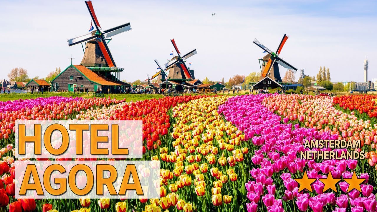 Hotel Agora hotel review | Hotels in Amsterdam | Netherlands Hotels