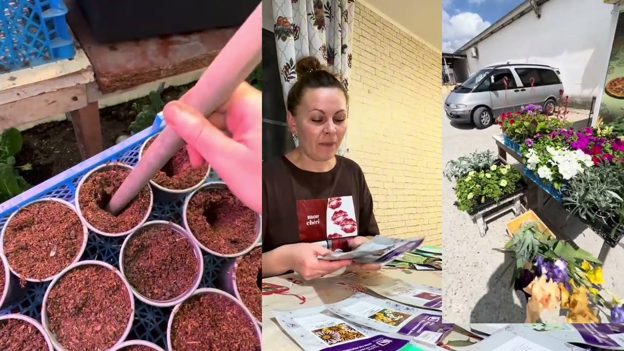 Самые популярные цветы на рынке🌸👍Сеем в январе. Красивые и простые в уходе. 