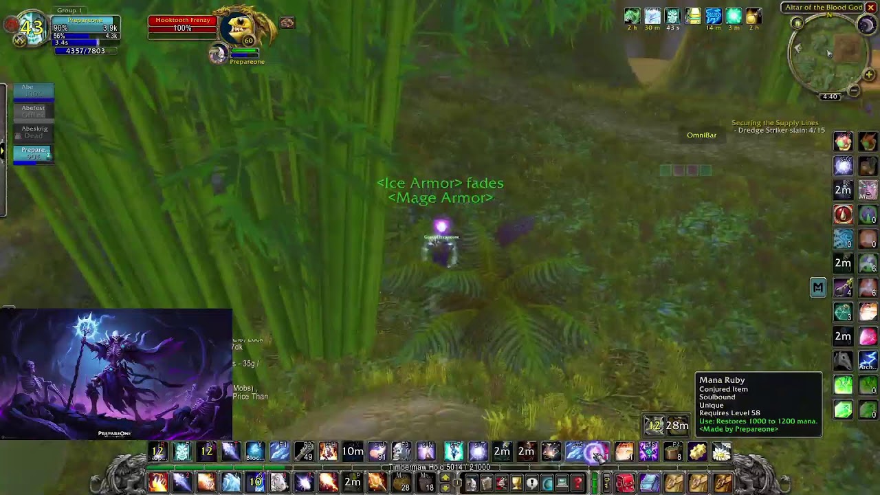 WoW Classic Anniversary Spineshatter EU Zul'Gurub 50-60