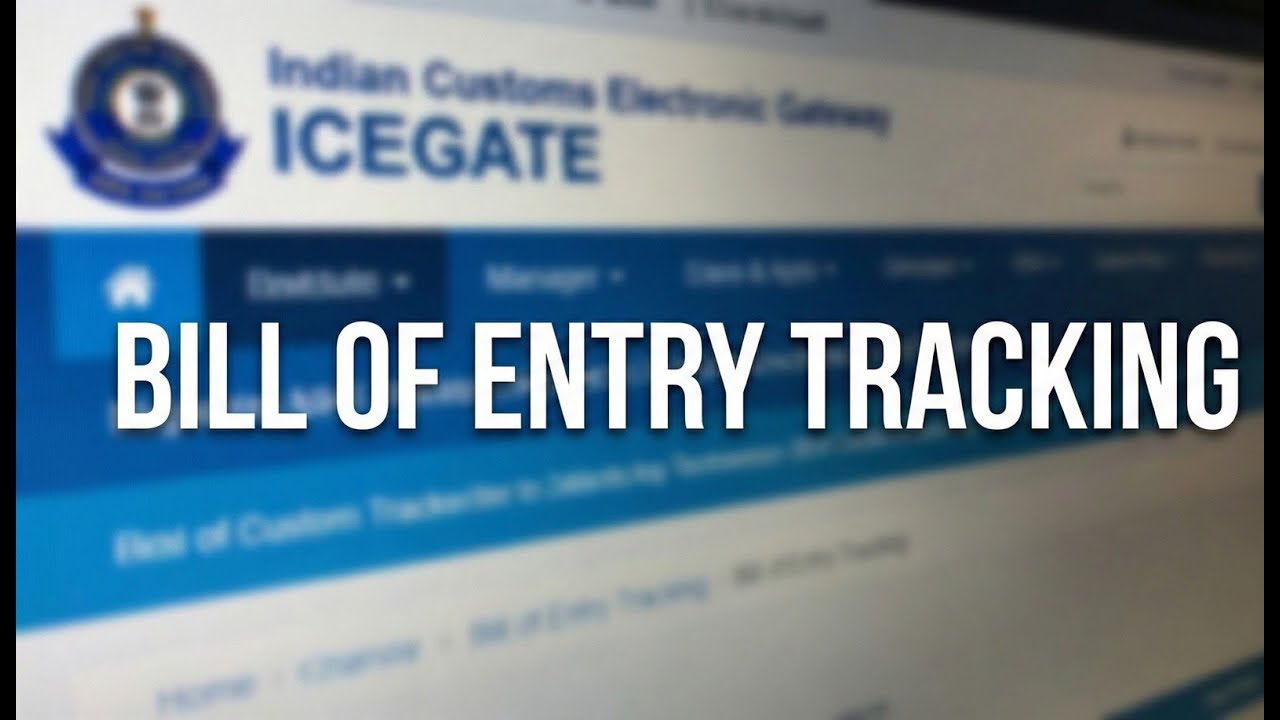 ICEGATE &mdash; ПРОЦЕСС ОТСЛЕЖИВАНИЯ ТАМОЖЕННОЙ ДЕКЛАРАЦИИ