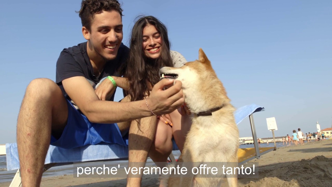 Hotel Pet Friendly