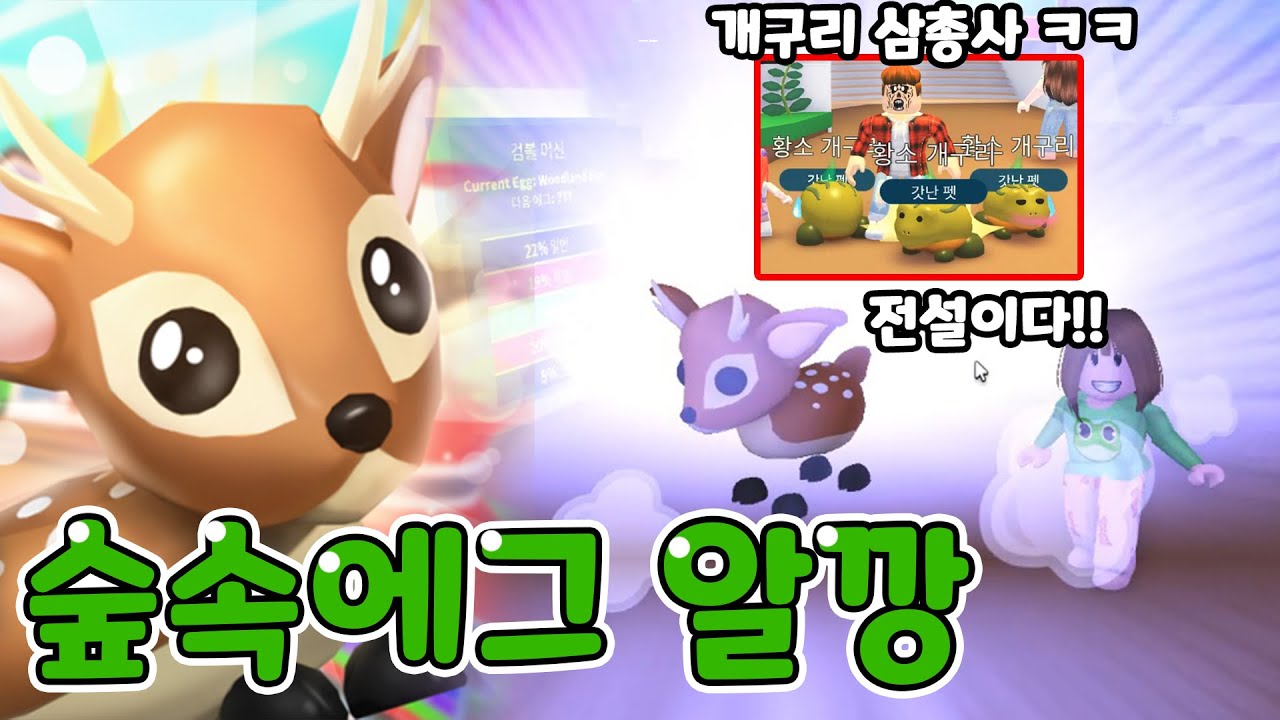 입양 숲속에그 알깡하기!! 전설 꽃사슴을 뽑은 사람은 누구??? 개구리가 너무 많이 나와요 ㅠㅠ ㅋㅋ 💗입양하세요 시즌2💗 뚜뚜패밀리