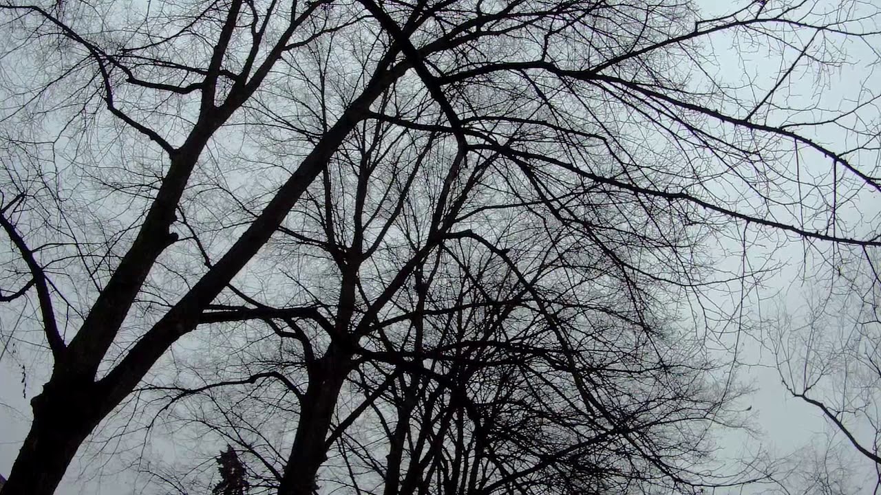 Сны Матильды - зарисовка1