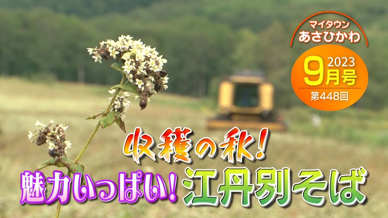 マイタウンあさひかわ「収穫の秋！魅力いっぱい！江丹別そば」2023年9月24日放送