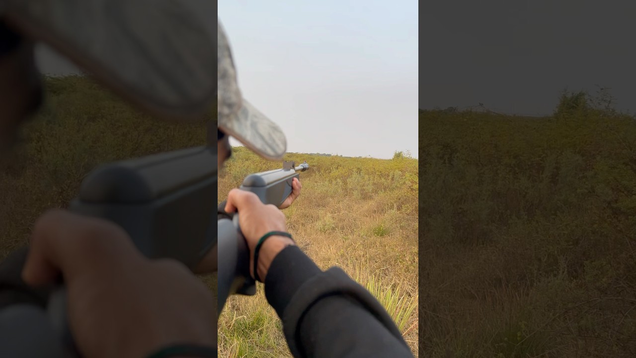 Best Airgun Hunting