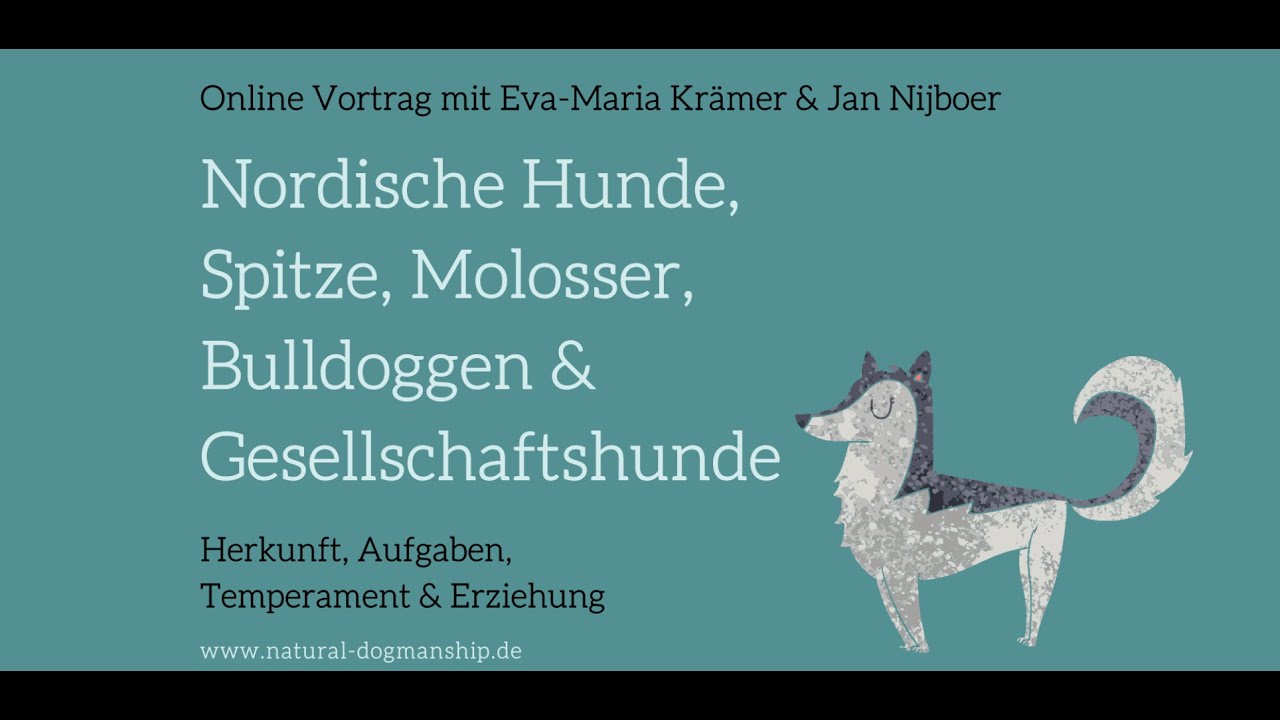 Nordische Hunde, Spitze, Molosser, Bulldoggen, Gesellschaftshunde
