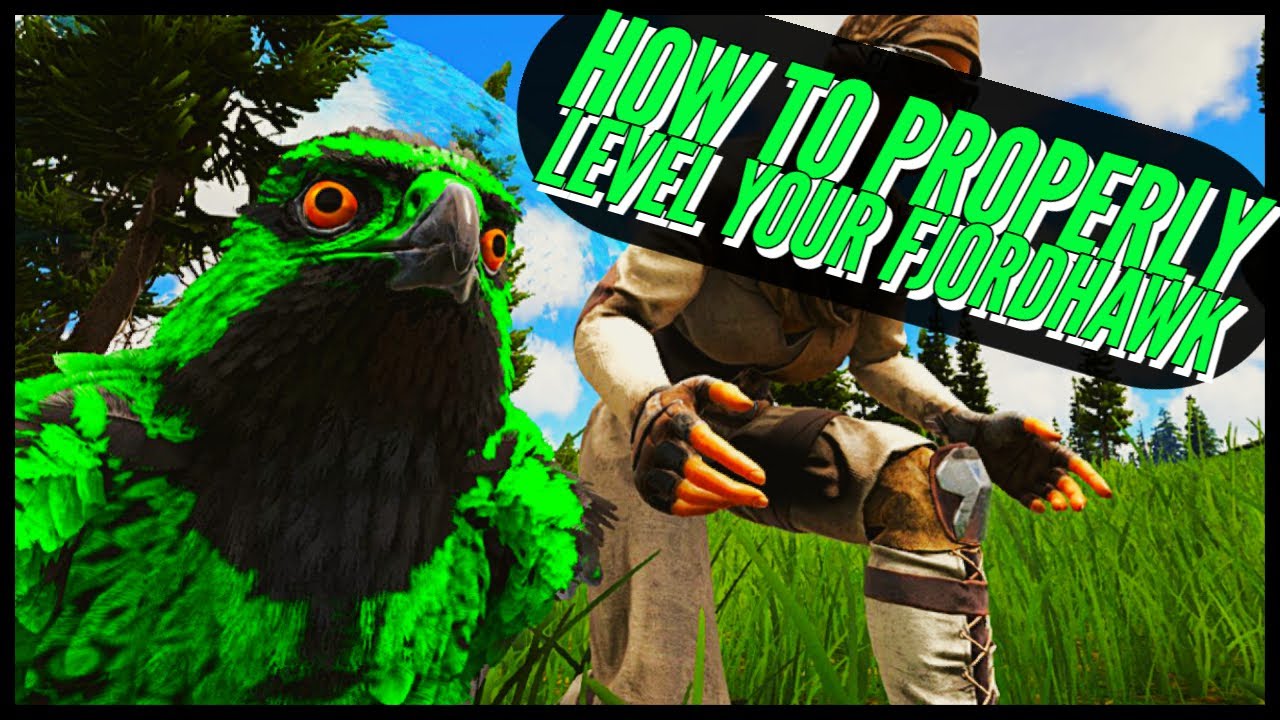 FJORDHAWK: How to properly level and use it!