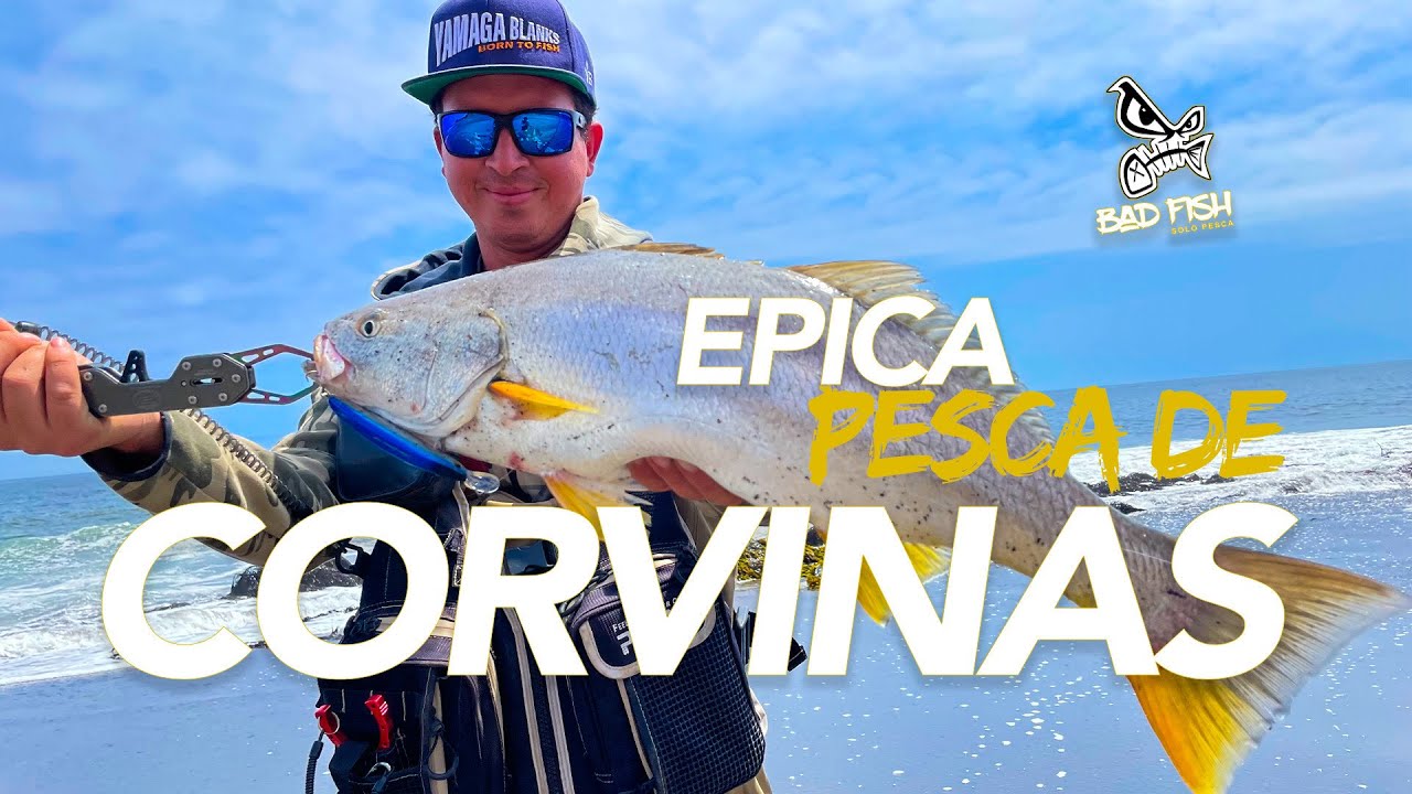 Épica pesca de Corvinas con 