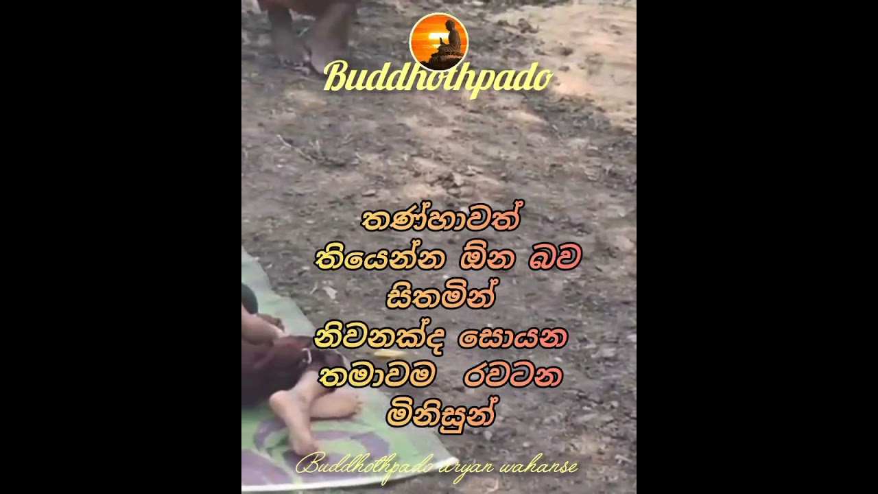 තණ්හාවේ දුරුවීමම නිවන නොවේද?