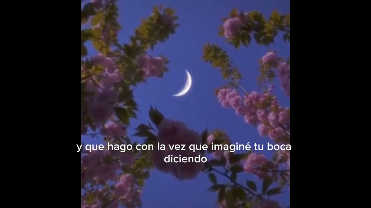 Confusión - Lunara
