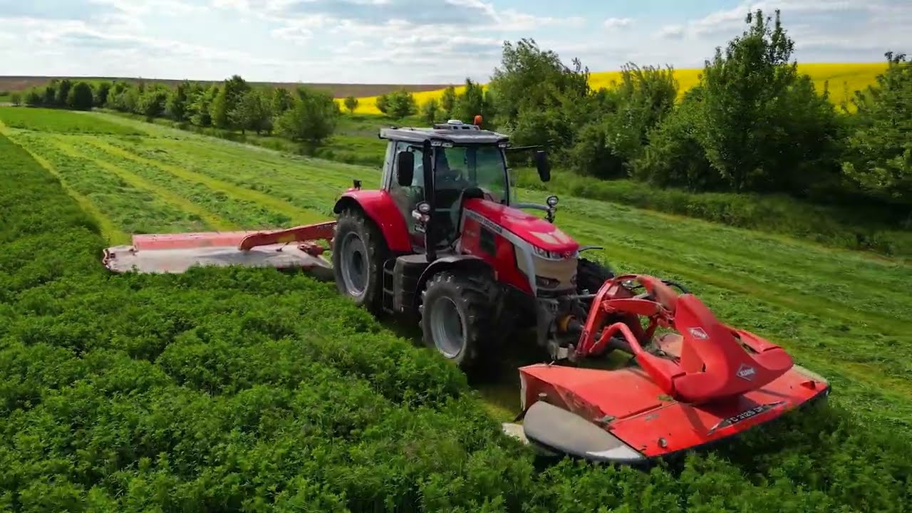 Tractor silage Cutting with Massey Ferguson 7S.180 | Kuhn Mowers | Woman Operator | Drone View