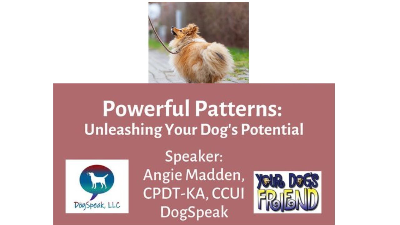 Powerful Patterns: Unleashing Your Dog’s Potential