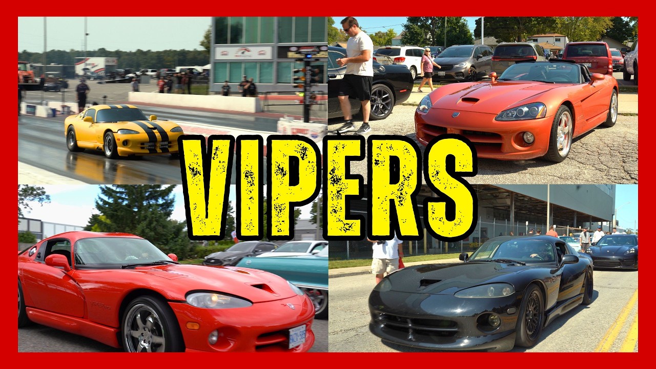 dodge viper compilation