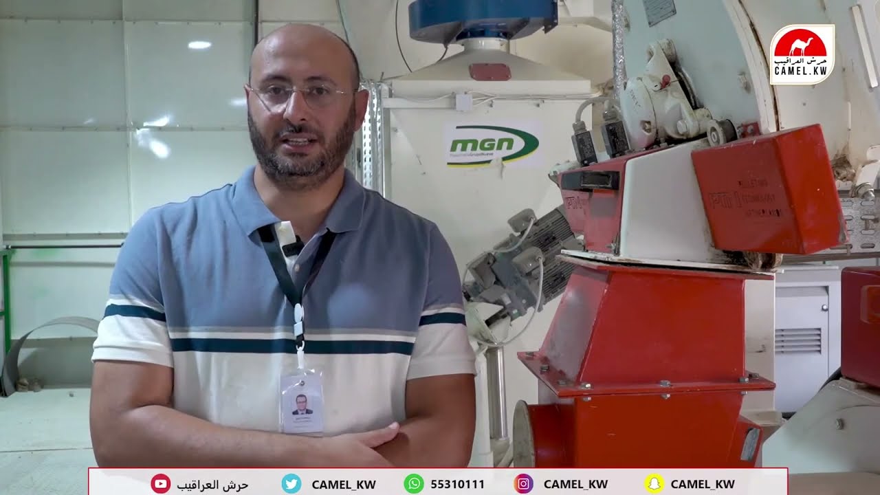 #مقيضك_مديد_حرش_العراقيب