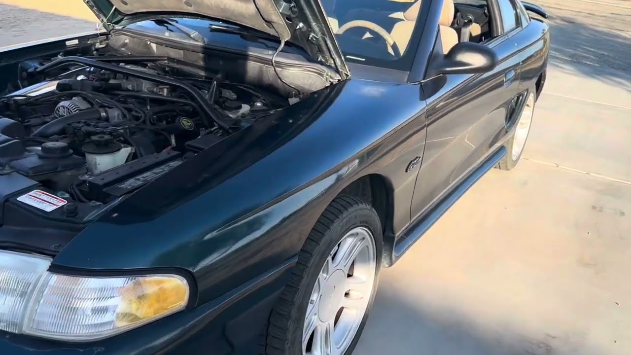 My 1996 GT Mustang