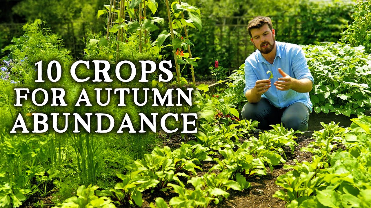 The 10 Most Productive Crops to Sow in July