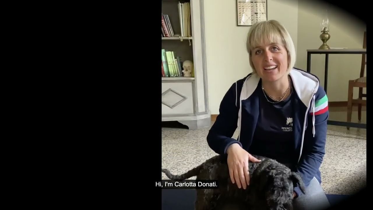 Student Demonstration of OAB Technique on Canine Forelimb