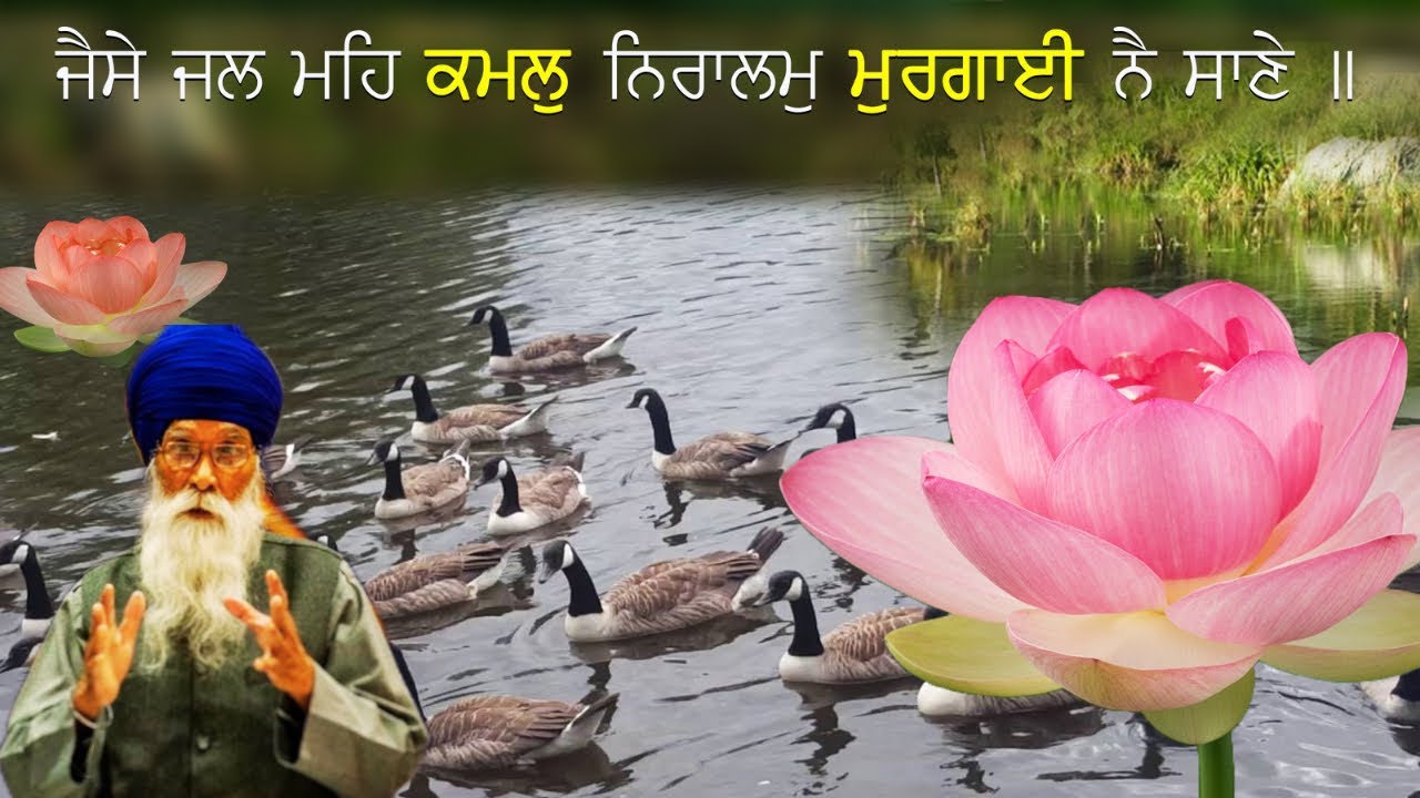 ਜੈਸੇ ਜਲ ਮਹਿ ਕਮਲੁ ਨਿਰਾਲਮੁ ਮੁਰਗਾਈ ਨੈ ਸਾਣੇ ॥ sach khoj Acadmey || Dharam Singh nihang