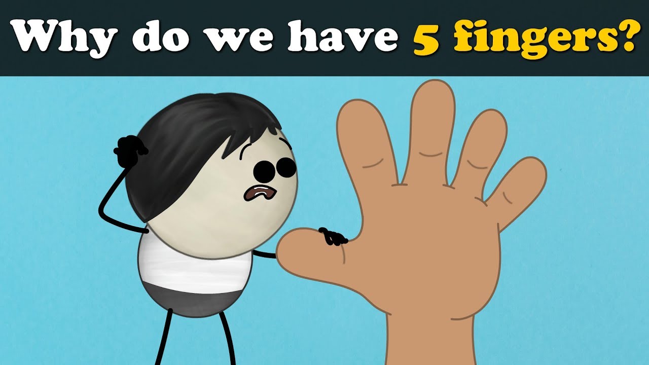 Why do we have 5 fingers? + more videos | 
