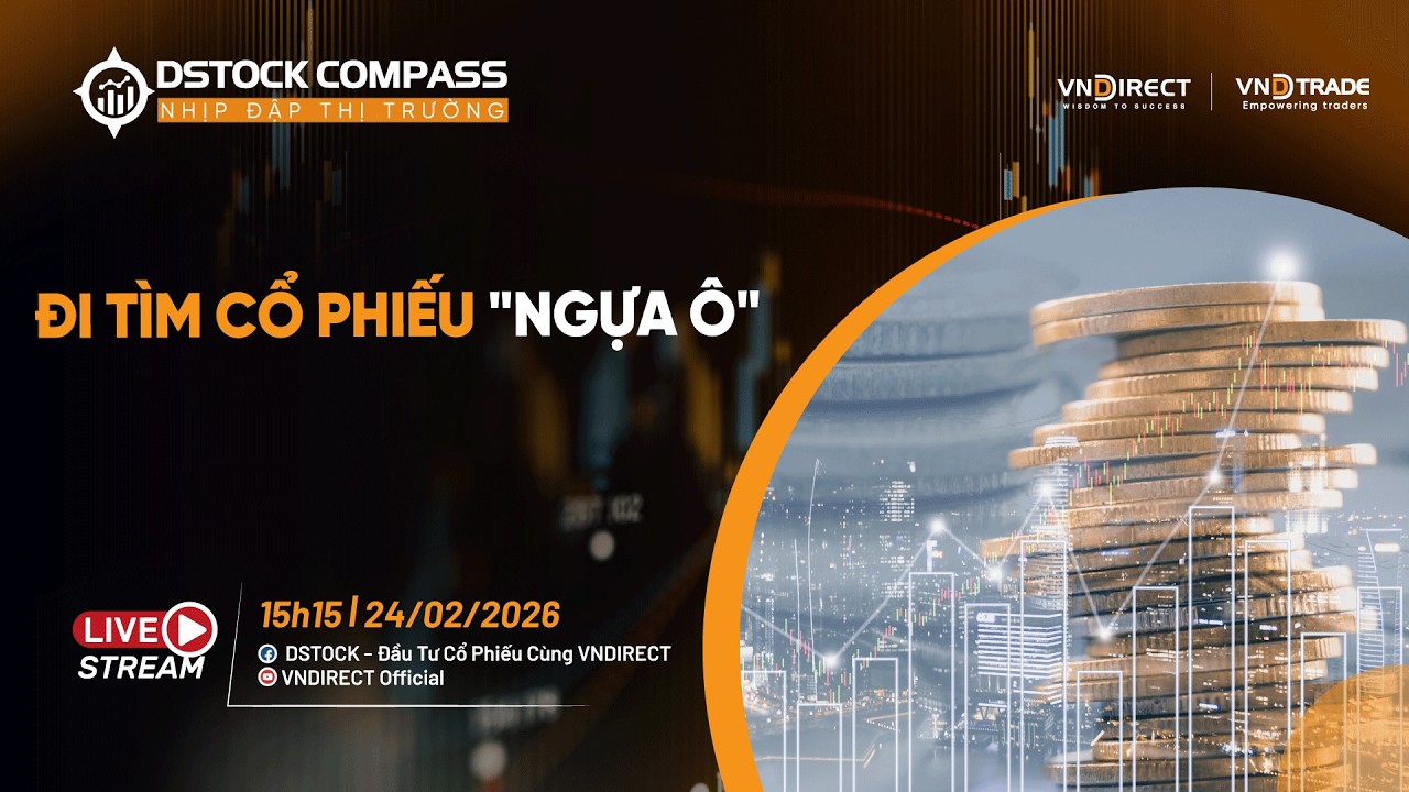 ĐI TÌM CỔ PHIẾU 