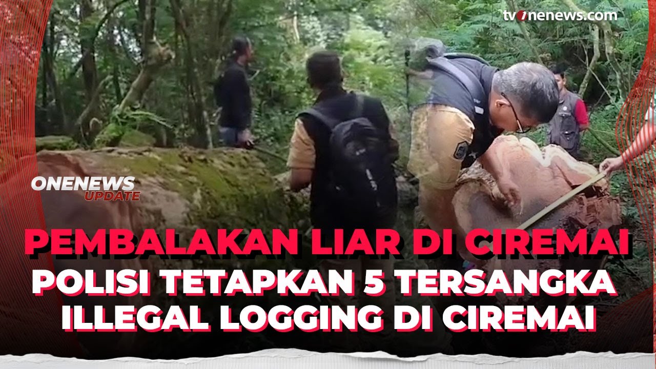 Polres Kuningan Tangkap Lima Pelaku Pembalakan Liar di Gunung Ciremai | OneNews Update