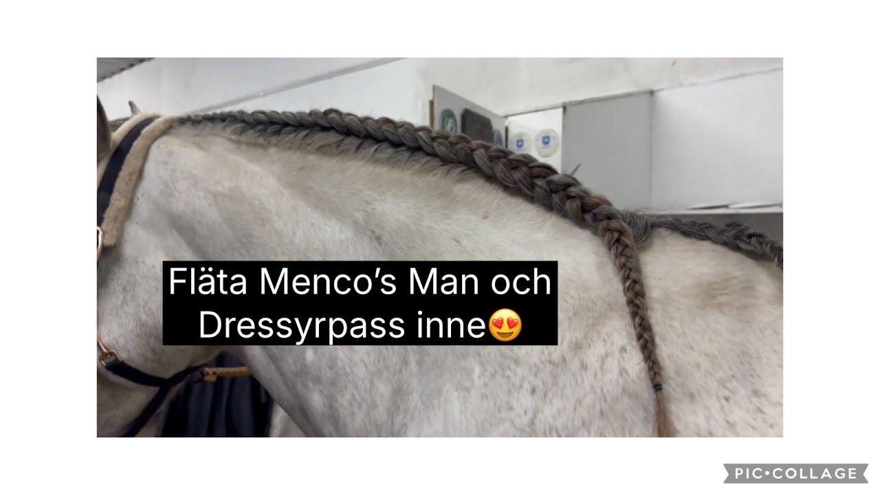 Fläta Menco med mig och Dressyrpass inne (VoiceOver) 💖🌸💕💗