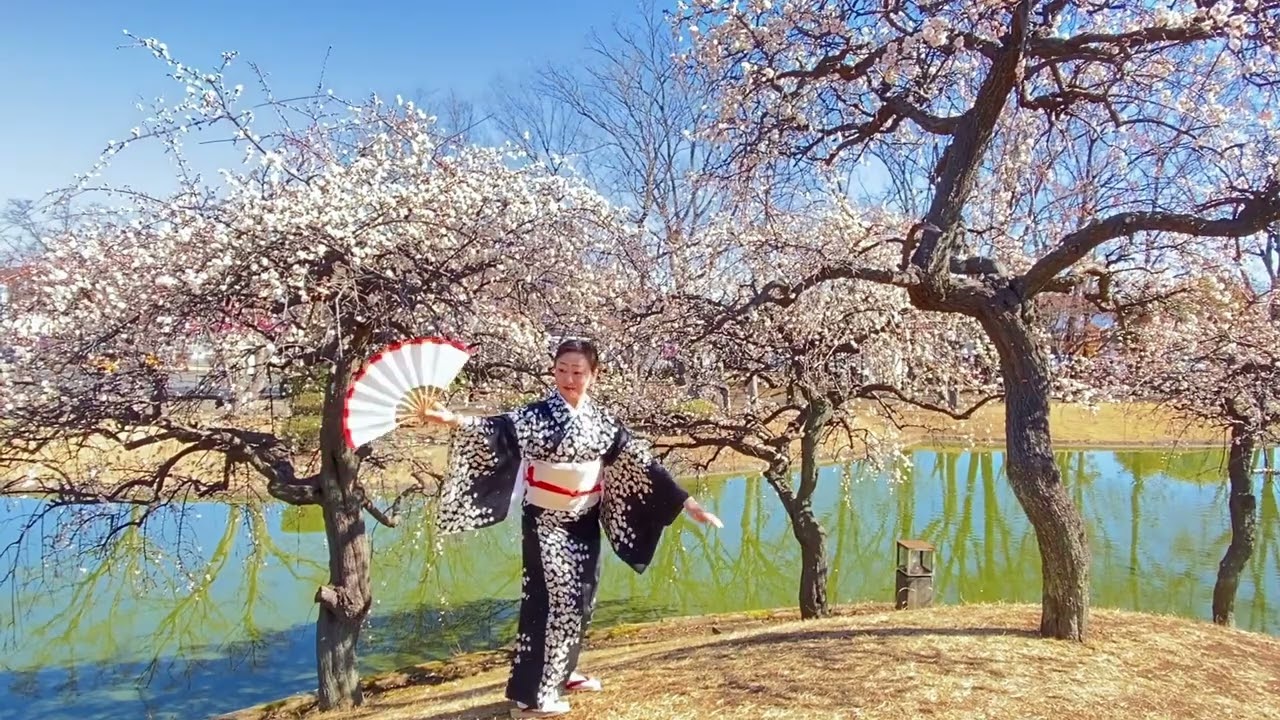 日本舞踊 端唄「梅にも春」フルver / Japanese traditional dance 