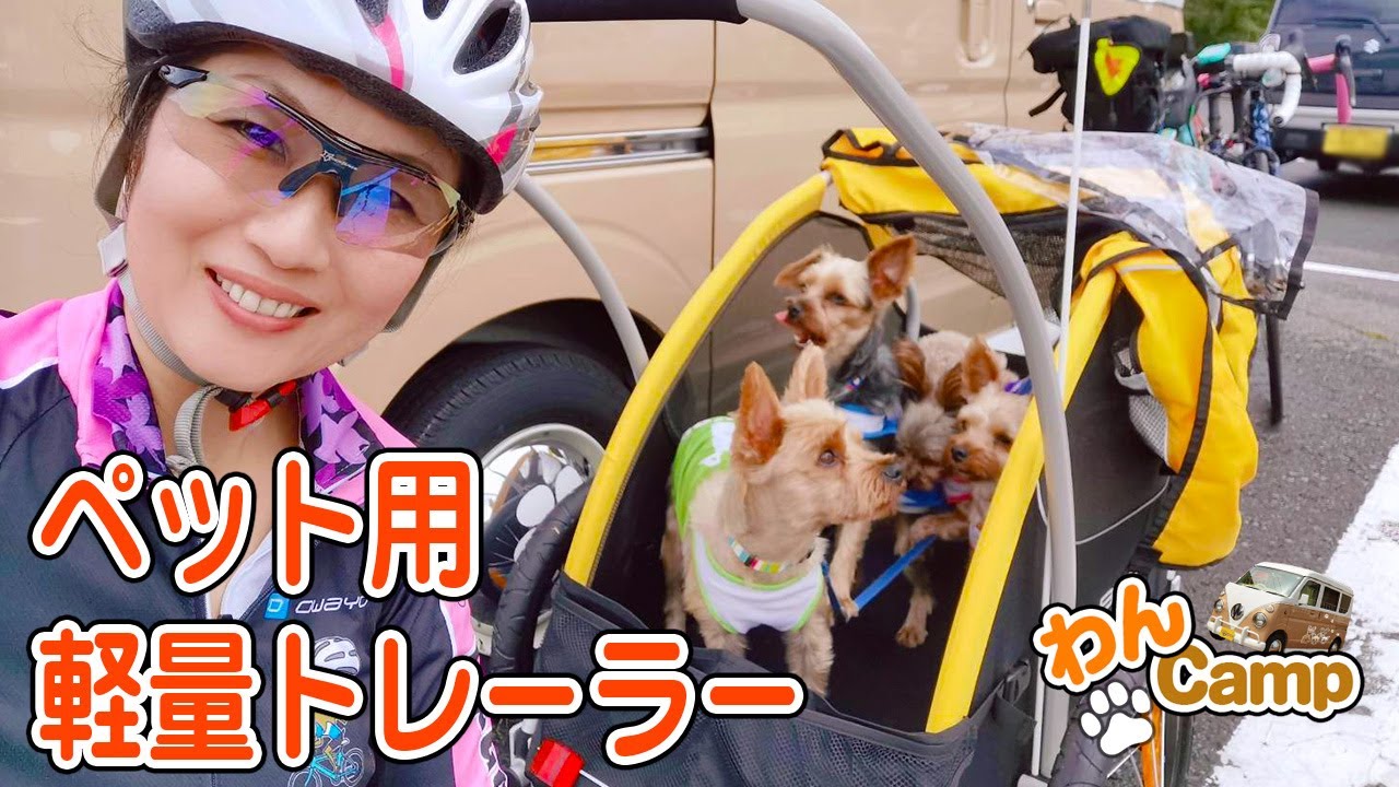 ペット用トレーラーをもってお出かけしたい！バーレーテイルワゴン