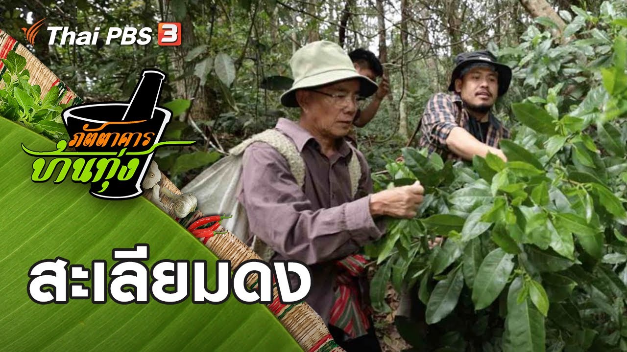 สะเลียมดง : ภัตตาคารบ้านทุ่ง (19 ธ.ค. 63)
