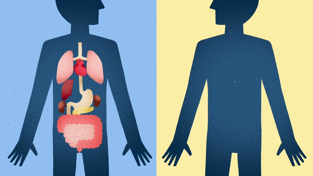 How Living Donor Liver Transplantation is PossibleU-M Health Transplant Center