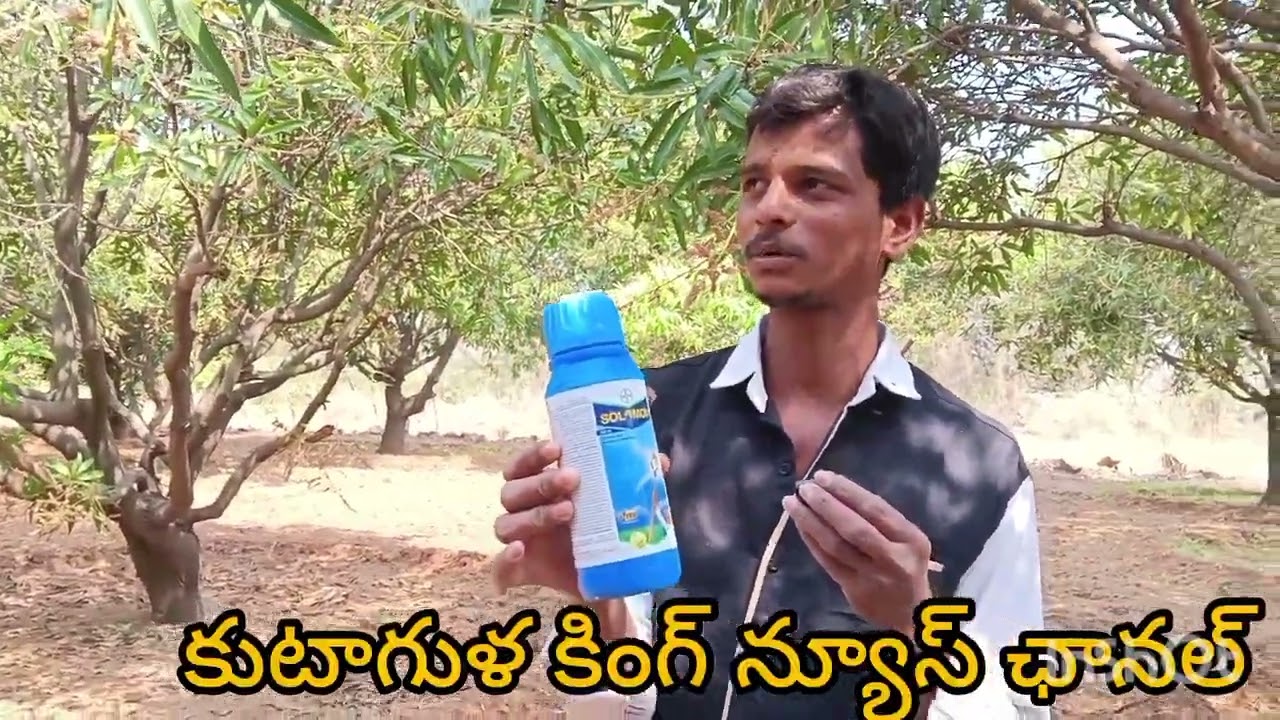 హాయ్ఫ్రెండ్స్ఈరోజుమనముకదిరిరగ్రామంలోమామిడిచెట్లకుటాగుళపోతావచ్చిందిపూతవచ్చినతర్వాతదోమలుకూలిపురుగులుఅ