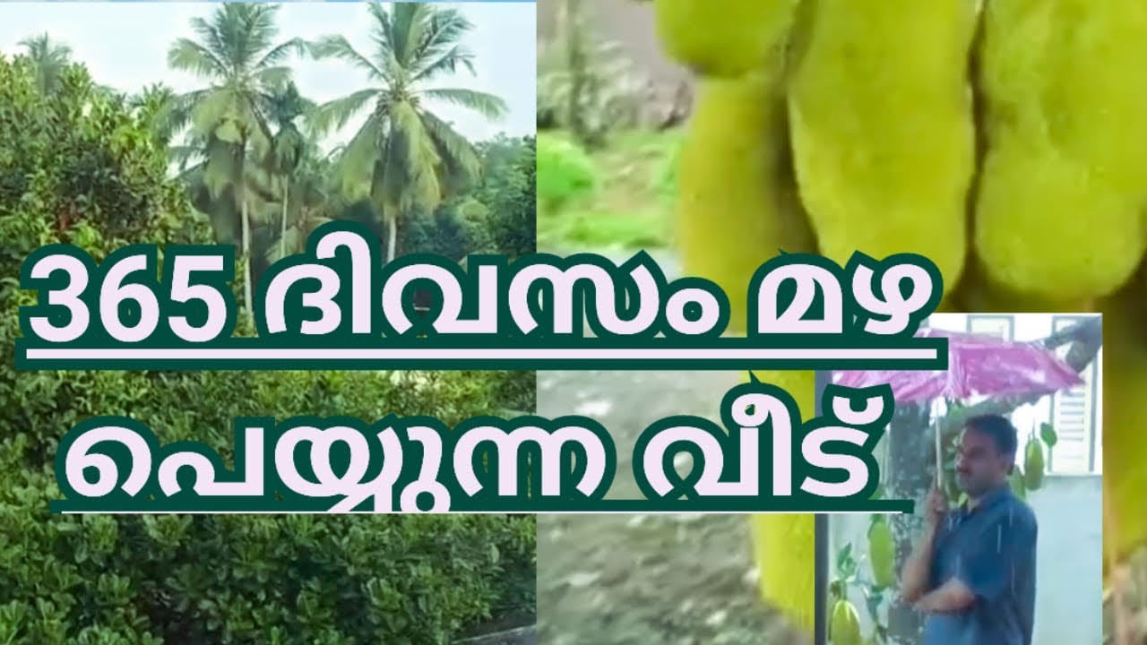 A HOUSE WHERE IT RAINS 365 DAYS | Beatifull Place Kerala | Kerala Tourism | Malapuram Tourism