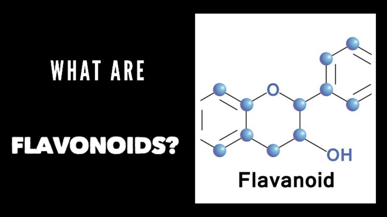 What are flavonoids? | health benefits of flavonoids