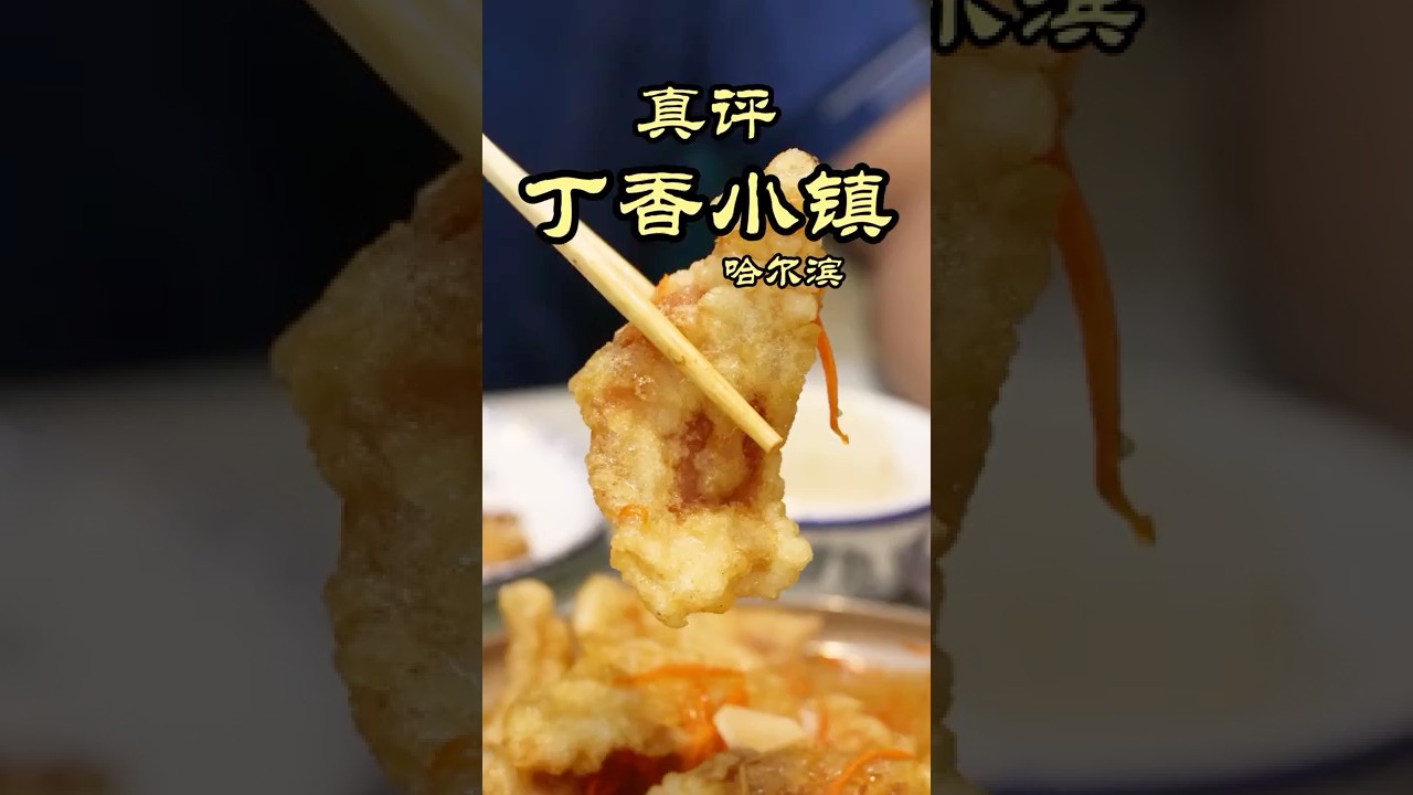 哈尔滨最好吃的锅包肉？家常菜馆藏着的锅包肉大赛冠军 - 丁香小镇民间菜馆 #美食探店﻿ ﻿#特厨隋卞﻿ ﻿#隋坡 #东北菜﻿ ﻿#哈尔滨﻿ ﻿#锅包肉﻿﻿ #harbin