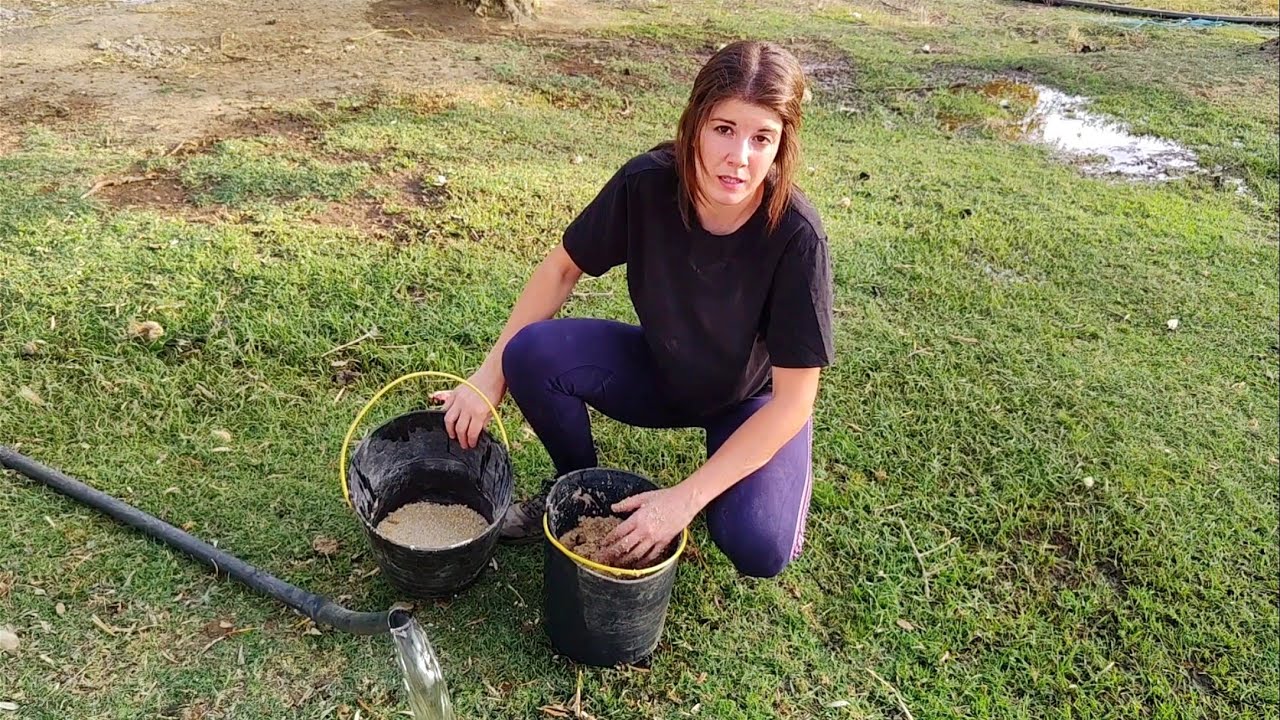 Atendiendo a la cerda, casi me arrolla