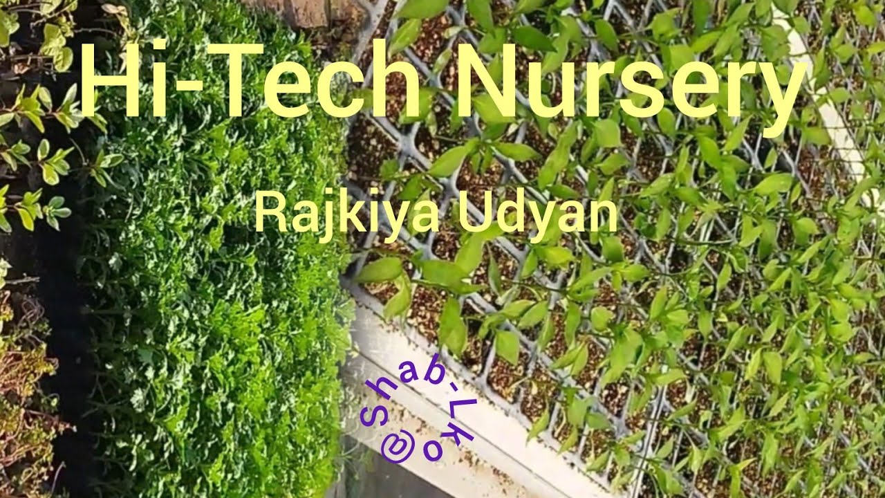 A visit to Hi-tech Nursery, Rajkiya Udyan, Aliganj, Lucknow | #HiTechNursery | @ShabLko