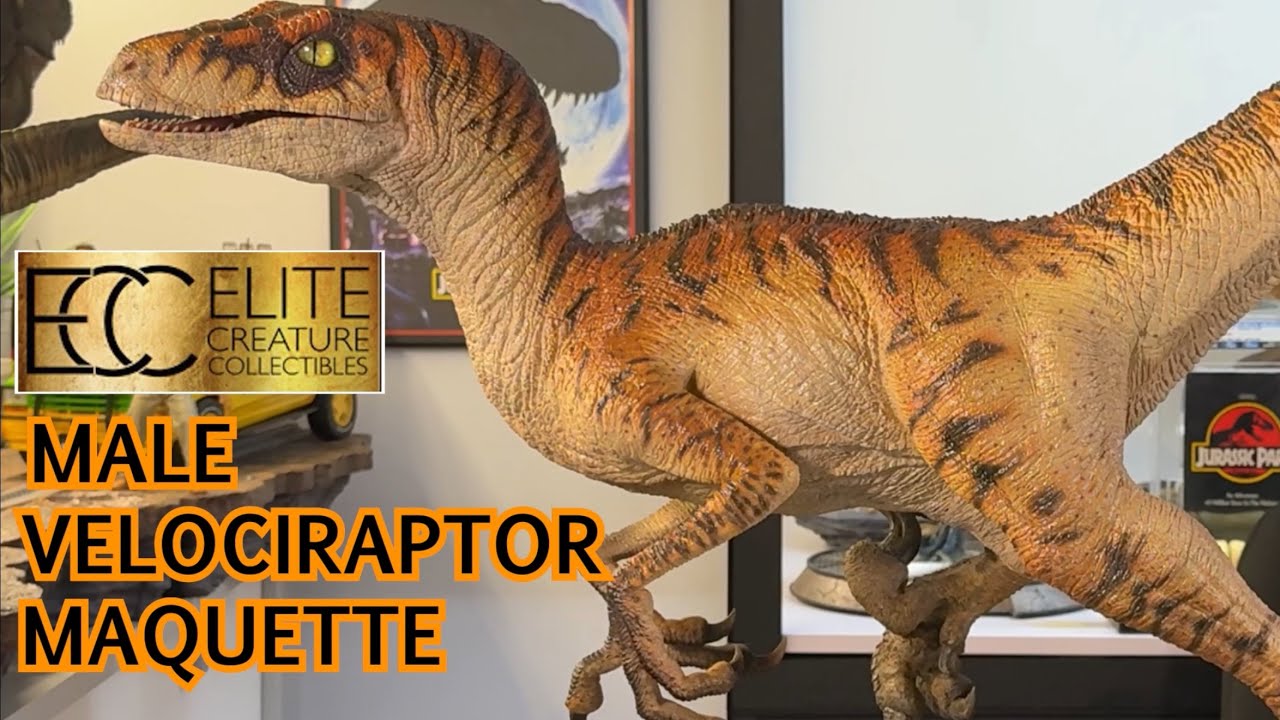 Elite Creature Collectibles Male Velociraptor Maquette 1/4 Scale Statue Review! The Lost World!