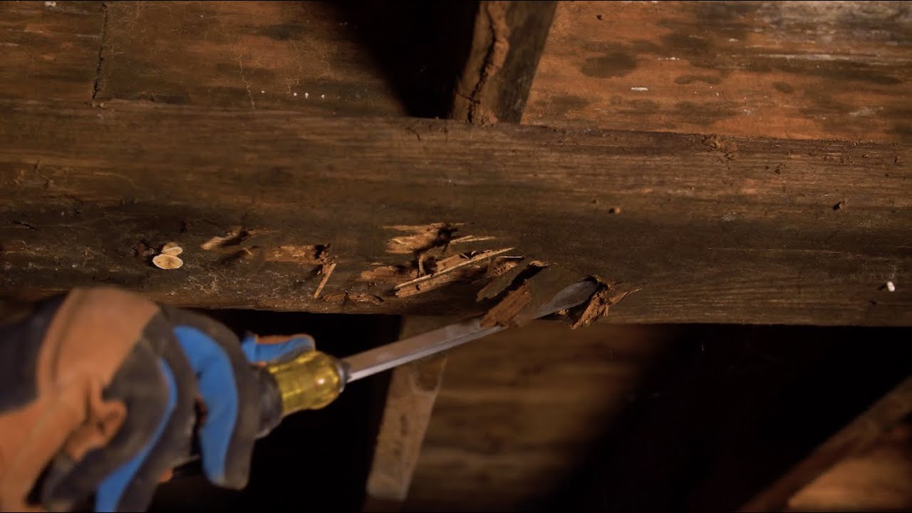 Crawlspace Wood Rot - Crawlspace Doctor of Arkansas