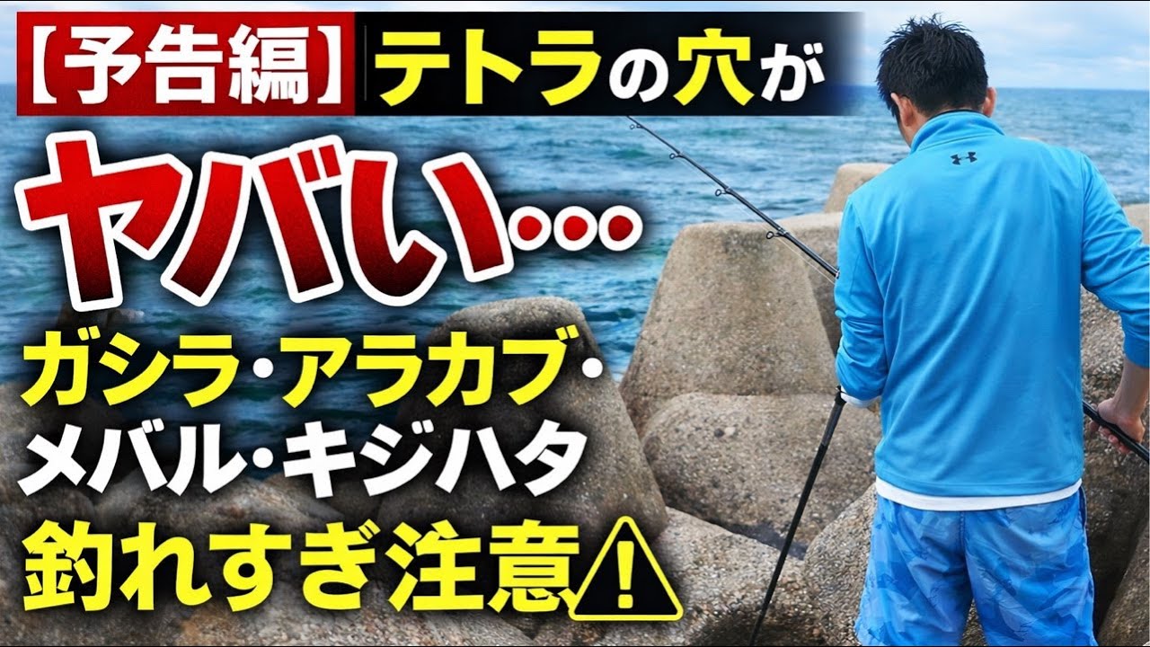 【予告編】本日昼からテトラの穴がヤバい…ガシラ・アラカブ・メバル・キジハタ釣れすぎ注意⚠️