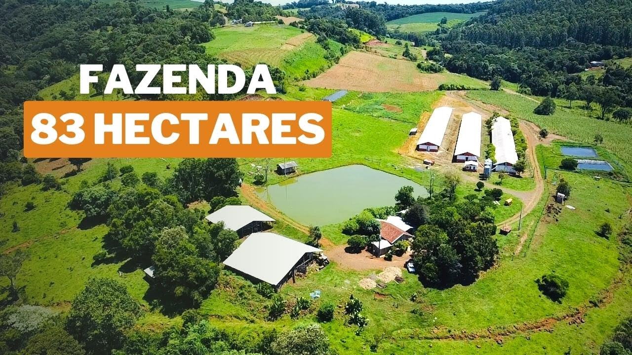 FAZENDA EM PINHALZINHO SANTA CATARINA 83 HECTARES CASA ÁGUA GADO CHIQUEIRÃO R$ 7.2 MI