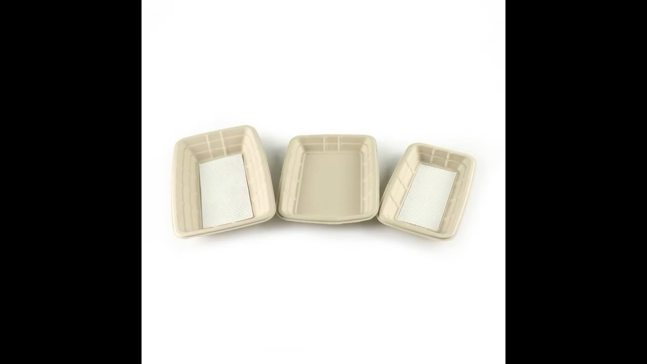 sugarcan tray with absorbent pad  #meatpackingdistrict #supermarket #seafoodpack #foodpackaging