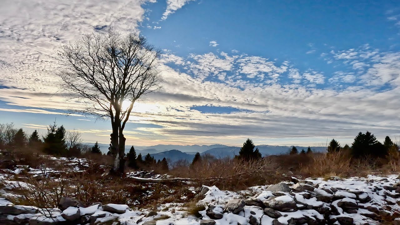 Monte Foraoro - Altopiano di Asiago