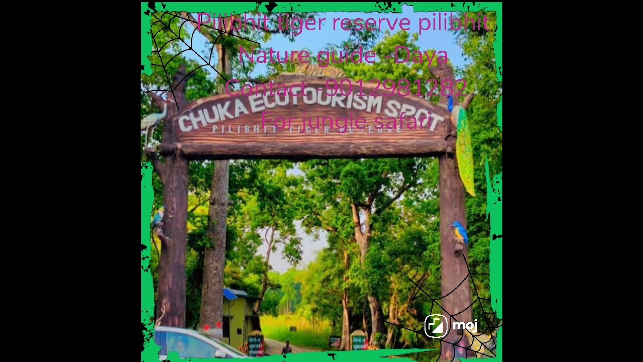 Pilibhit tiger reserve jungle safari
