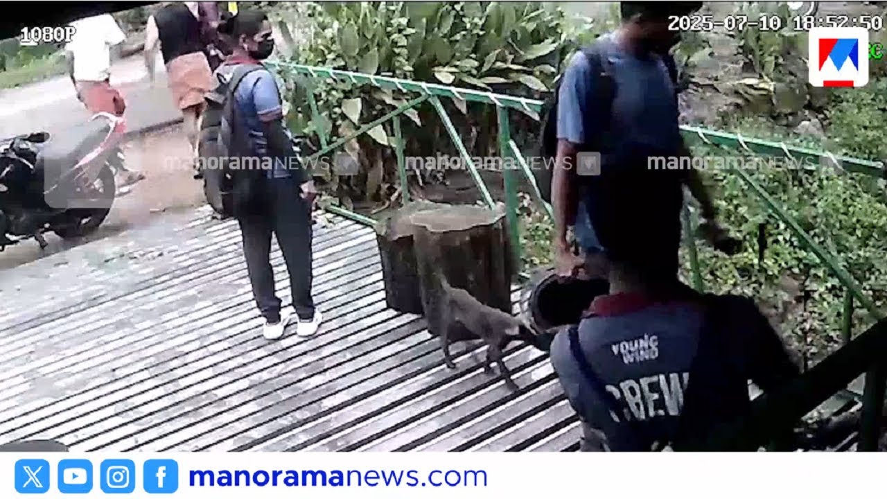 പാലക്കാട് പോത്തുണ്ടി ഡാമില്&zwj; വനിതാ ജീവനക്കാര്&zwj; ഉള്&zwj;പ്പടെയുള്ളവര്&zwj;ക്ക് മര്&zwj;ദനം | Pothundy Dam