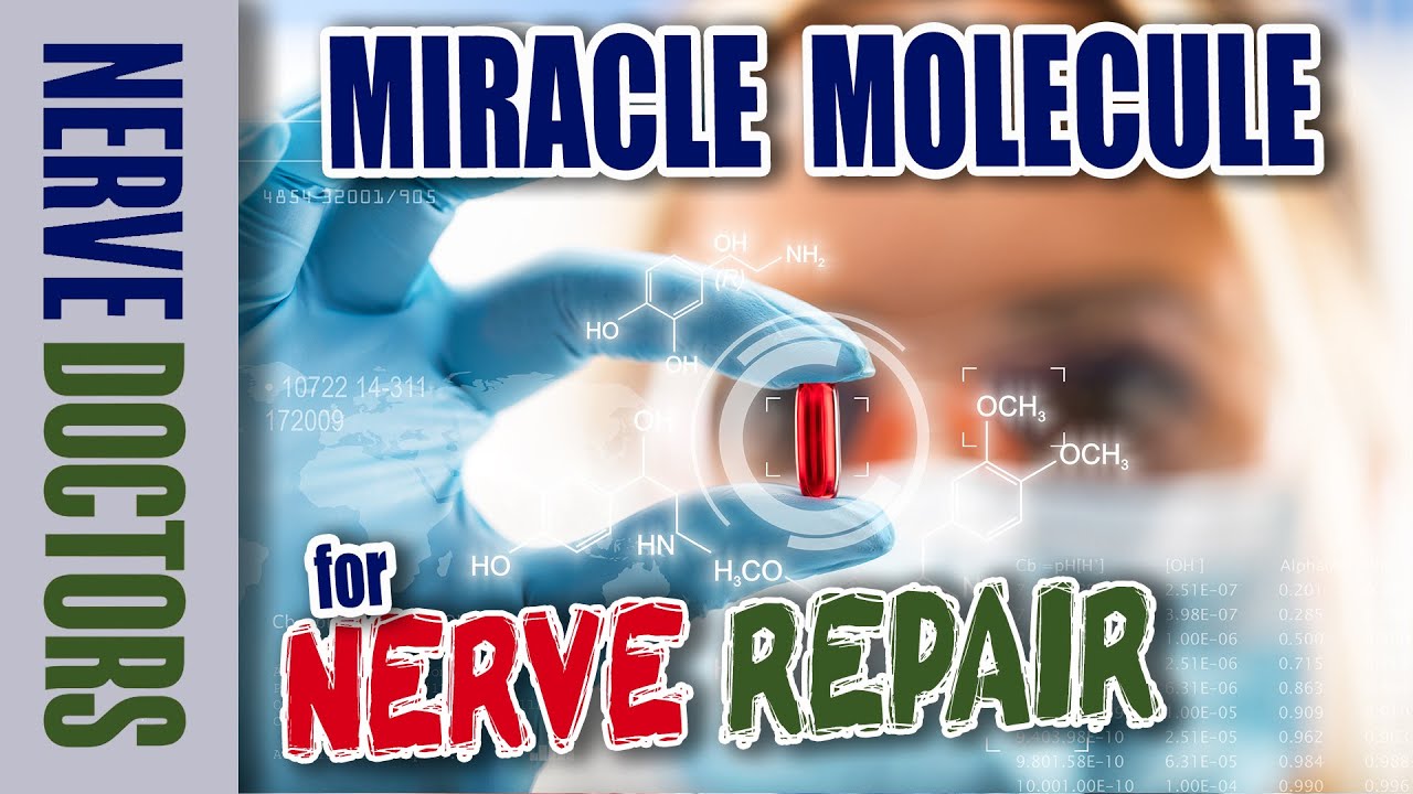 Чудодейственная молекула для восстановления нервов — The Nerve Doctors