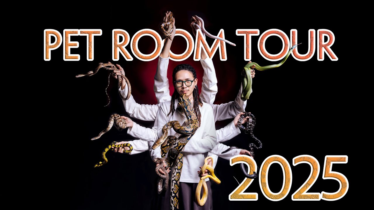 PET ROOM TOUR 2025 | WILDVN TV